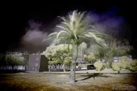 /album/fotogaleria-fotografia-infraroig/mg-8307-640x480-jpg/